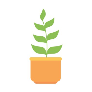 Ev tenceresinde izole edilmiş ikon bitki