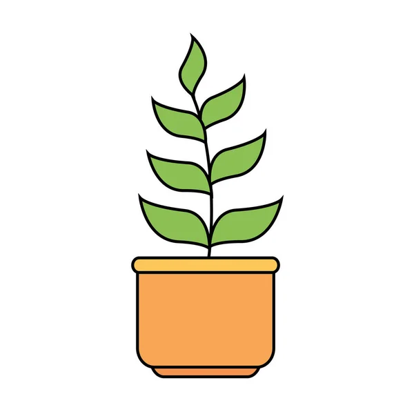 Planta en casa olla aislado icono — Vector de stock