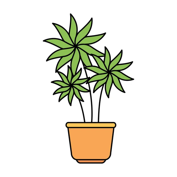 Plant in house pot isolated icon — Stock Vector