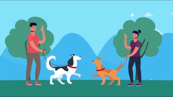 Casal andando com cães no parque — Vídeo de Stock