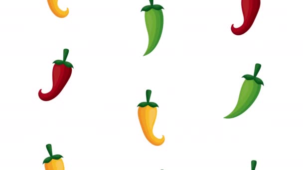Pattern mexican with chili peppers — Stock Video