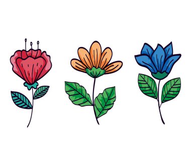 Dalları ve yaprakları olan bir çiçek seti.