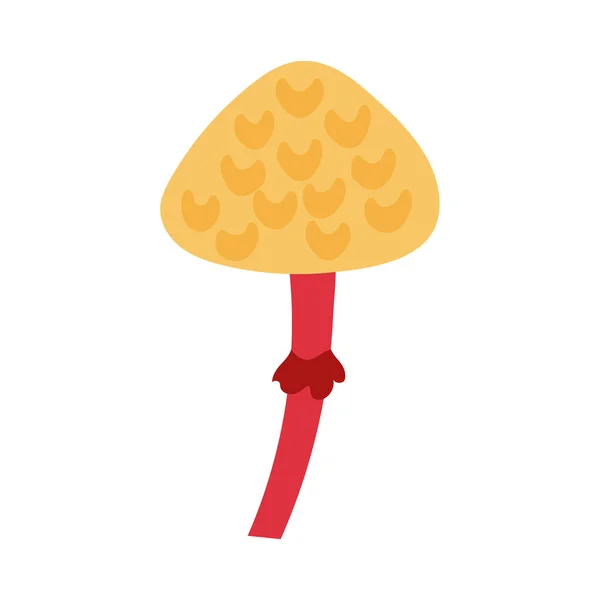 Champignon plante cortinarius sanguineus dessin à la main icône de style — Image vectorielle