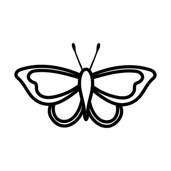 Schöne Schmetterling Insektenlinie Stil-Symbol — Stockvektor