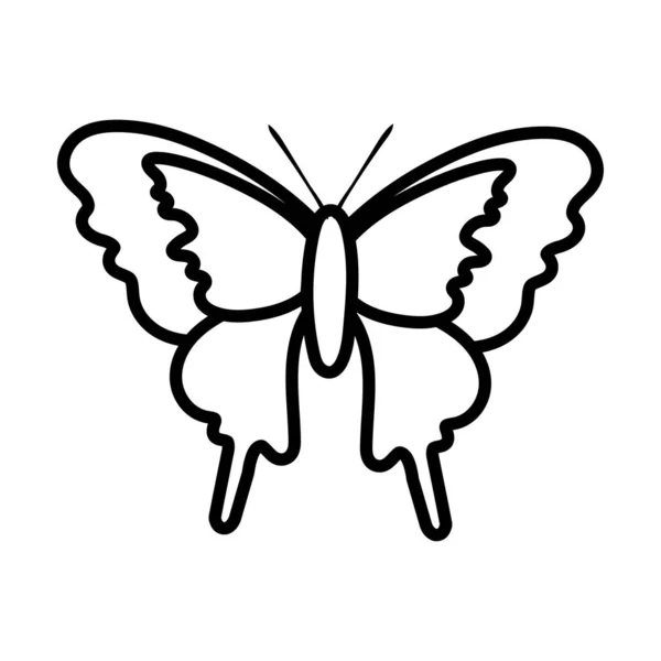 Hermosa mariposa insecto línea estilo icono — Vector de stock