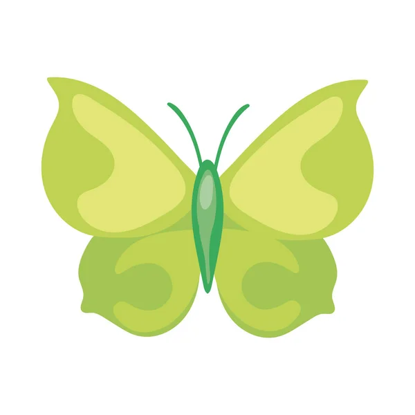 Mooie vlinder groene insect platte stijl icoon — Stockvector