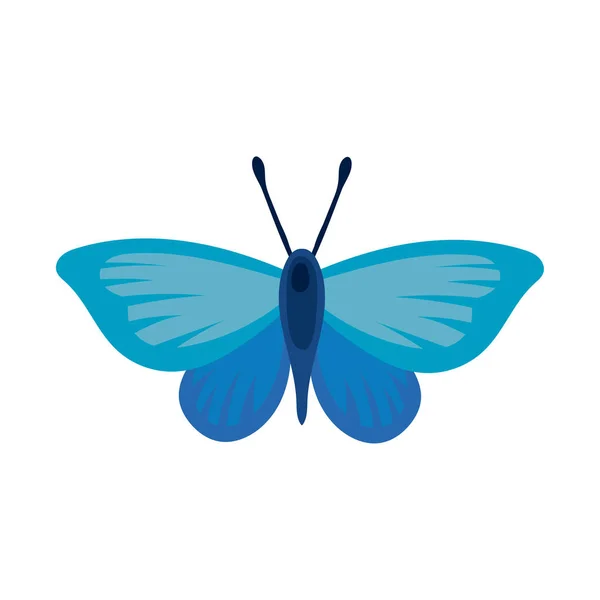 Belle icône de style plat bleu insecte papillon — Image vectorielle