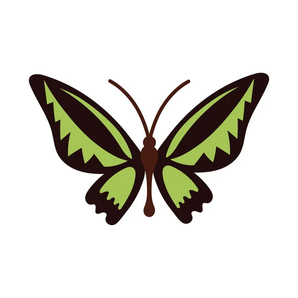 Vacker fjäril grön insekt platt stil ikon — Stock vektor