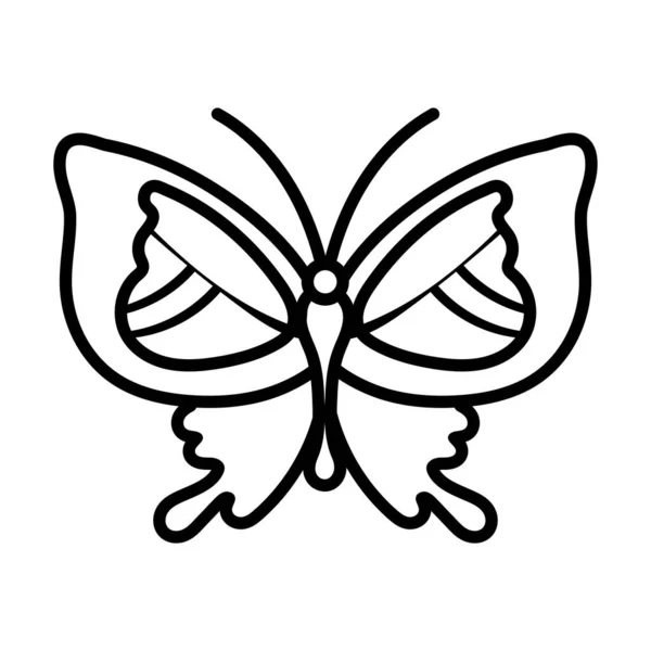 Hermosa mariposa insecto línea estilo icono — Archivo Imágenes Vectoriales