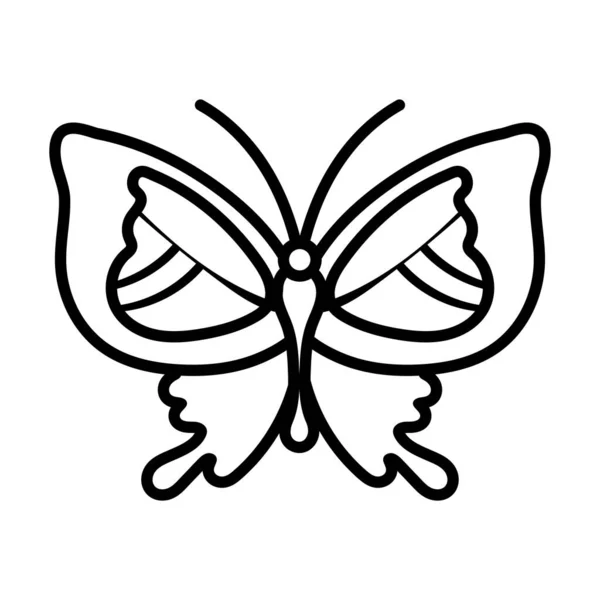 Hermosa mariposa insecto línea estilo icono — Vector de stock