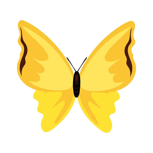 Vacker fjäril gul insekt platt stil ikon — Stock vektor