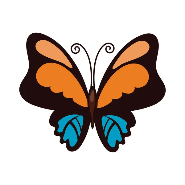 Vacker fjäril orange insekt platt stil ikon — Stock vektor