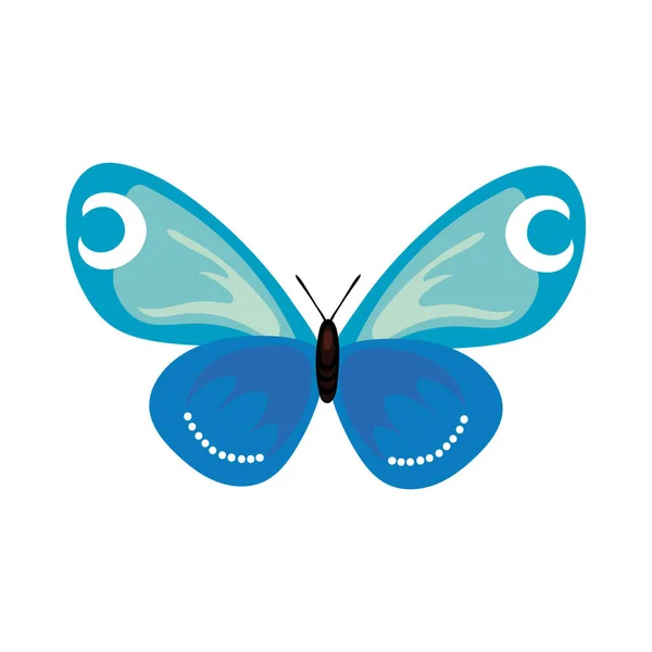 Hermoso insecto mariposa azul icono de estilo plano — Vector de stock
