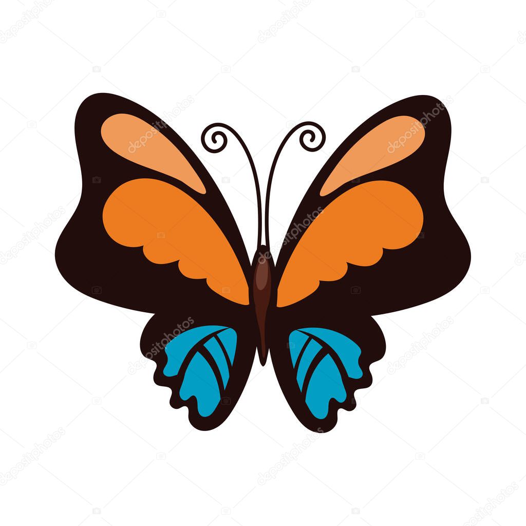 beautiful butterfly orange insect flat style icon