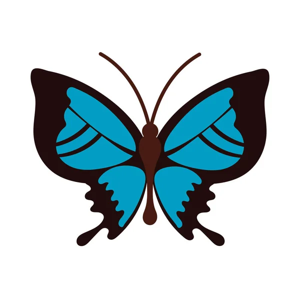 Hermoso insecto mariposa azul icono de estilo plano — Vector de stock