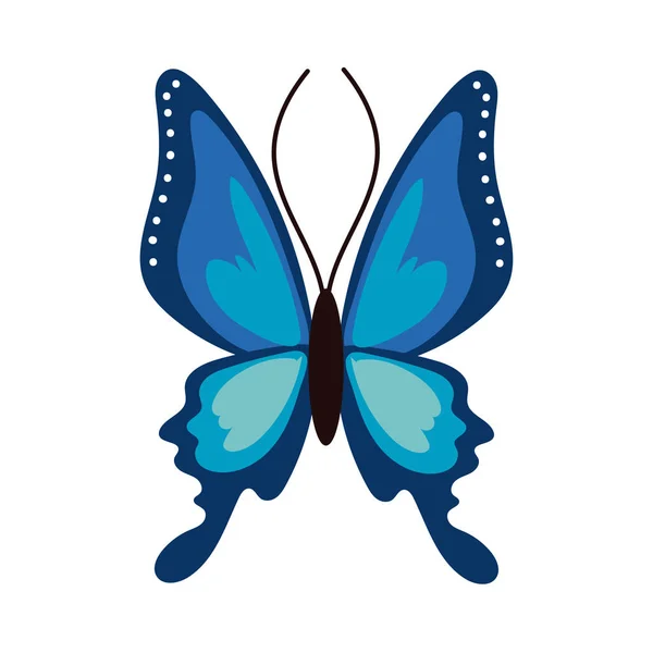 Belle icône de style plat bleu insecte papillon — Image vectorielle