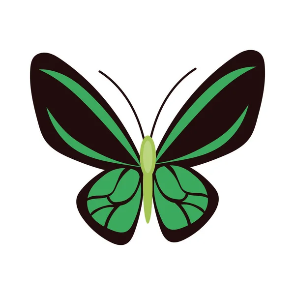 Όμορφη πεταλούδα πράσινο έντομο επίπεδη στυλ εικονίδιο — Διανυσματικό Αρχείο