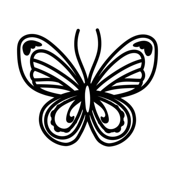 Vacker fjäril insekt linje stil ikon — Stock vektor