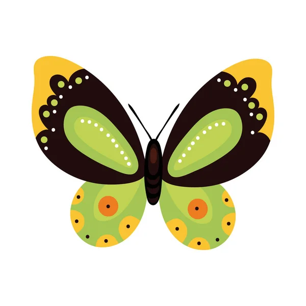 Hermoso icono de estilo plano de insecto verde mariposa — Vector de stock