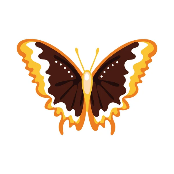 Красива іконка метелика помаранчева комаха плоский стиль — стоковий вектор