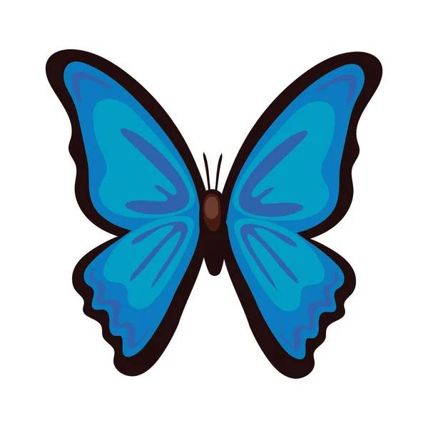 Hermoso insecto mariposa azul icono de estilo plano — Vector de stock