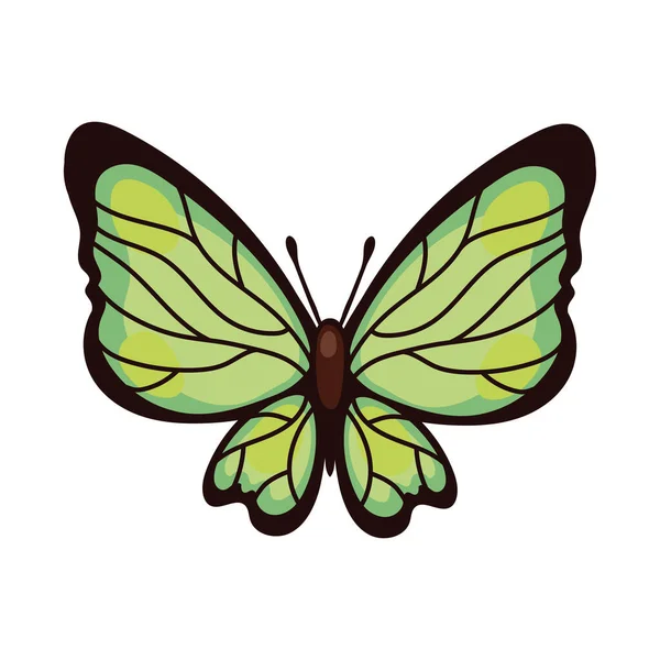 Mooie vlinder groene insect platte stijl icoon — Stockvector