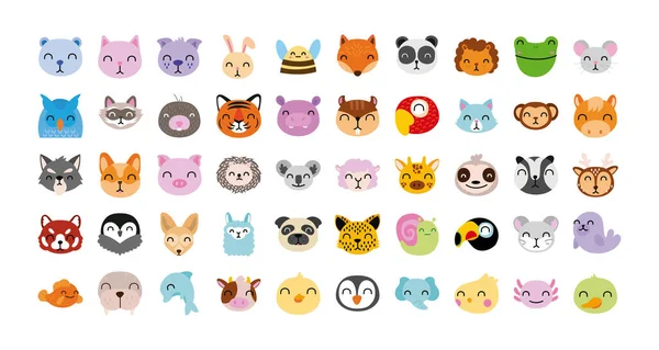 Paquet de personnages animaux mignons — Image vectorielle