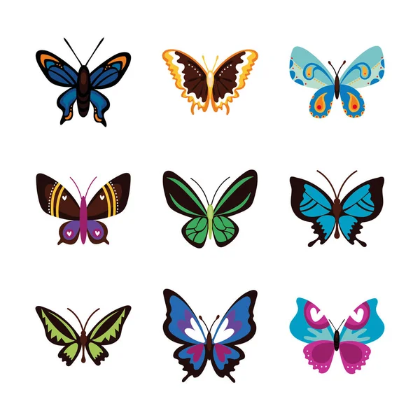 Conjunto de mariposas establecer iconos — Archivo Imágenes Vectoriales