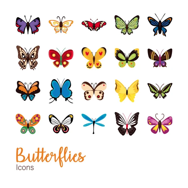 Svazek ikon sady motýlů — Stockový vektor