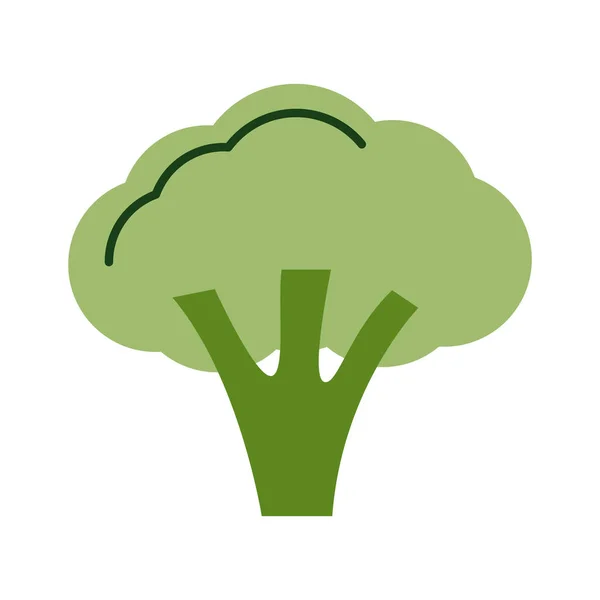 Broccoli fresh flat style icon — Stock Vector