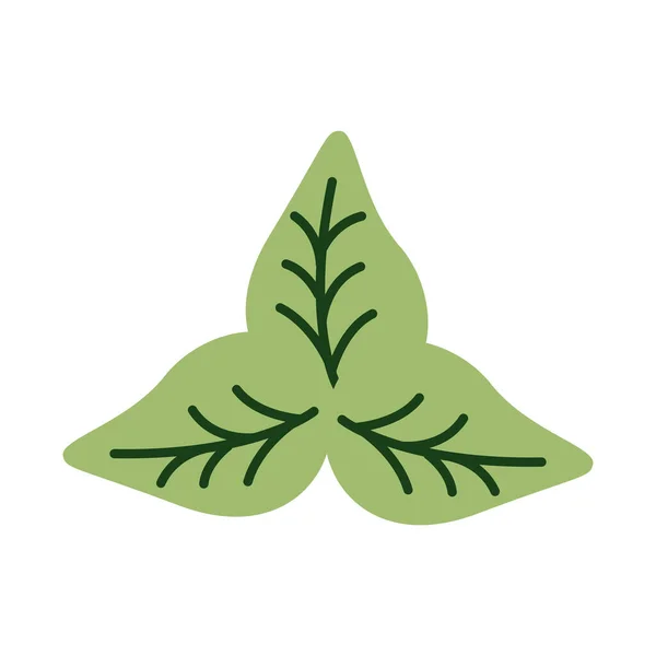 Feuillus végétal bio style plat — Image vectorielle