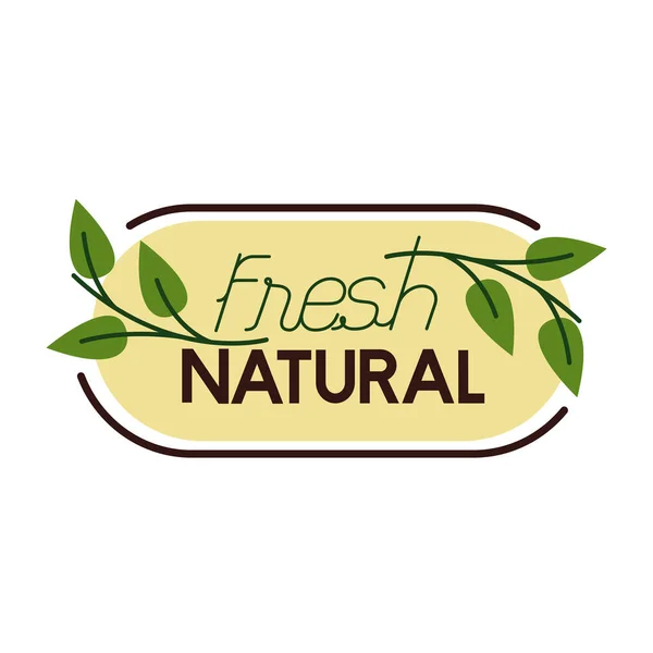 Natural fresh lettering flat style icon — Stock Vector