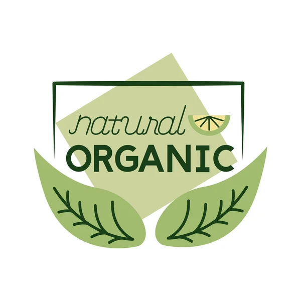 Natural organic lettering flat style icon — Stock Vector