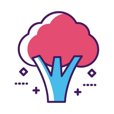 taze brokoli serisi ve doldurma biçimi