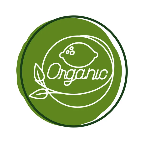 Natura organica lettering blocco stile icona — Vettoriale Stock
