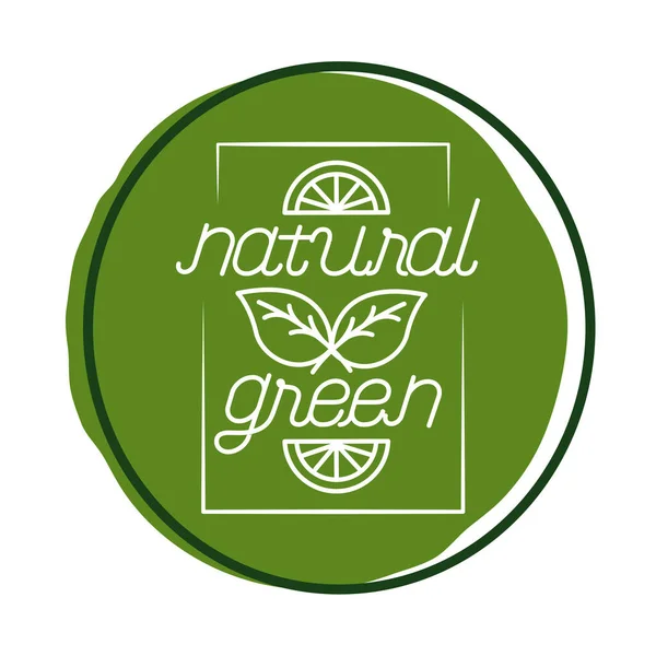 Organic green nature lettering block style icon — Stock Vector