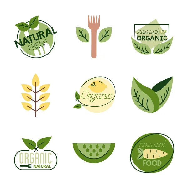 Paquete de naturaleza e iconos orgánicos — Vector de stock