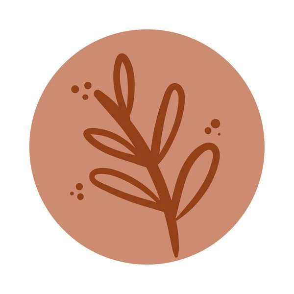 Yapraklı dal boho el çizim stili — Stok Vektör