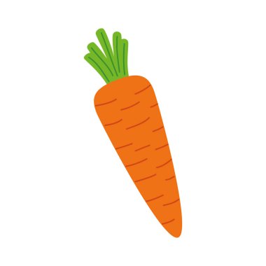 Beyaz arka planda taze havuç.