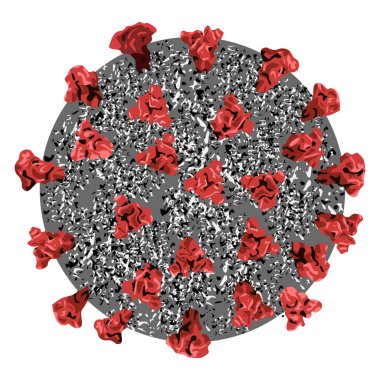 Beyaz arka planda mikroskop altında Coronavirus