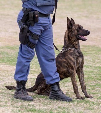 Polis köpeği ve işleyicisi