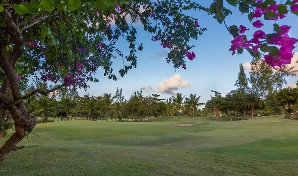 Perfektes Golfplatz Fairway und Grün — Stockfoto