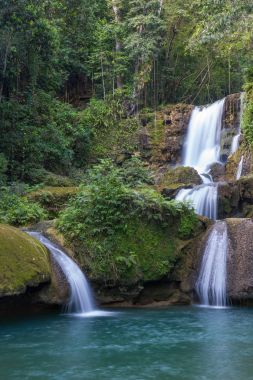 Doğal şelaleler ve Jamaika yemyeşil bitki örtüsü