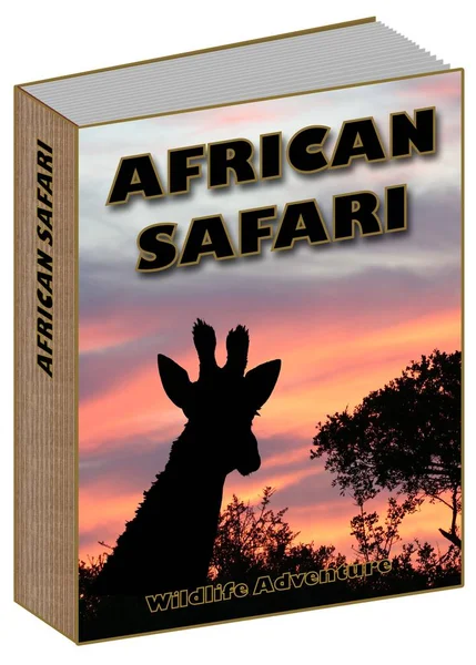 Afrikaanse Safari boek concept met zonsondergang en giraffe — Stockfoto