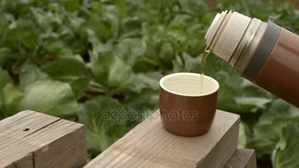 Garrafa térmica marrom com chá no jardim — Vídeo de Stock