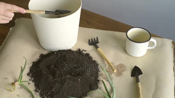 把泥土放进锅种植 — 图库视频影像