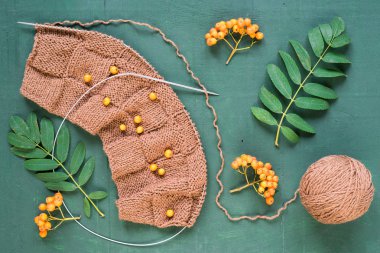 Sonbahar yaprakları ve ashberries ile örgü