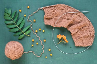 Sonbahar yaprakları ve ashberries ile örgü