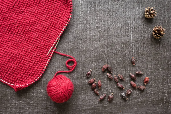 Knitting, cones and dryed hips on black background — Stock Photo, Image