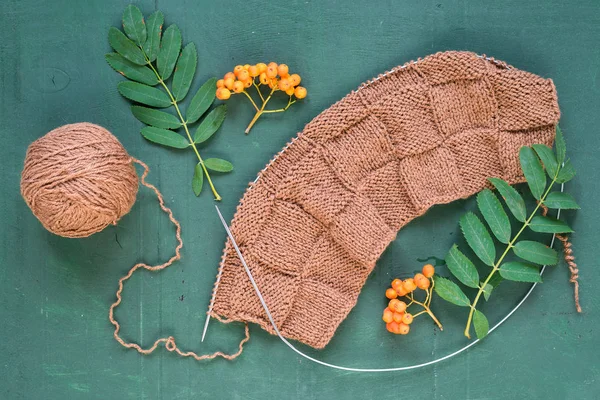 Autumnal knitting with leaves and ashberries — Stock Photo, Image